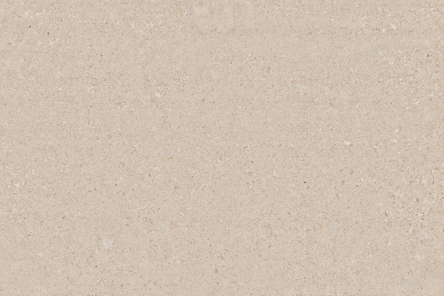 Avorio