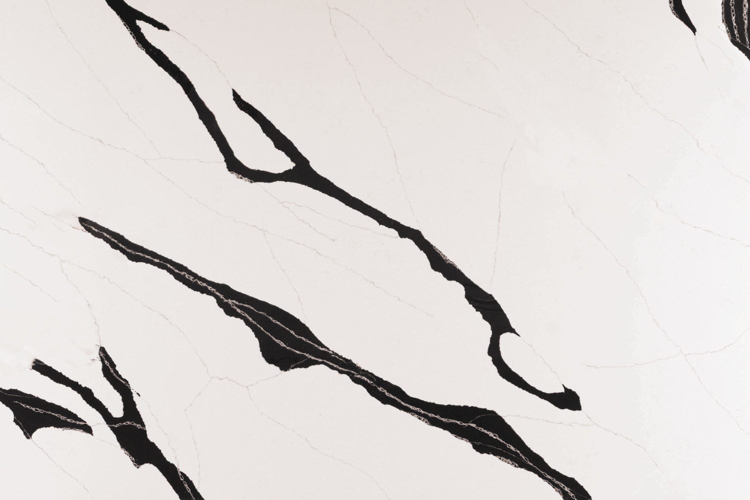 Calacatta Black
