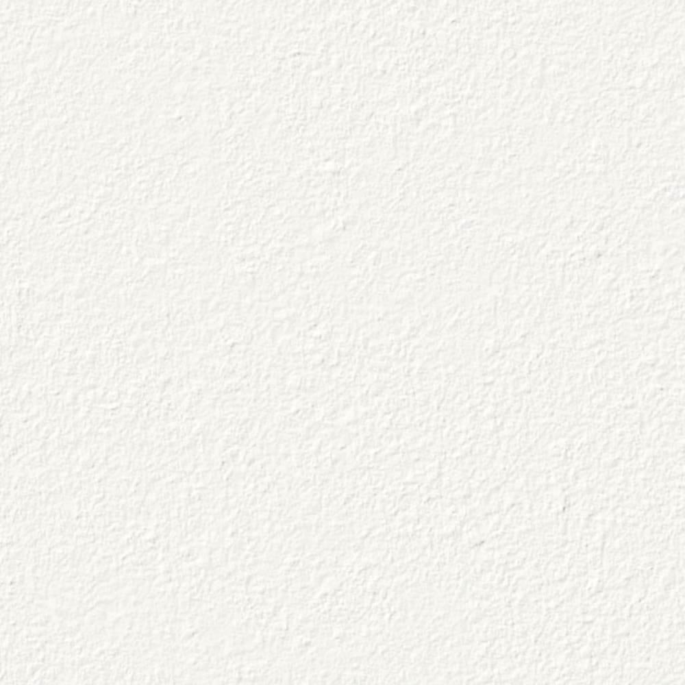 Absolute White